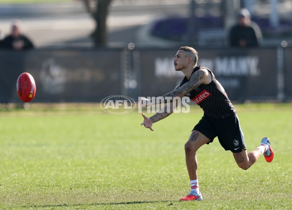 AFL 2025 Training - Collingwood 300725 - A-60828591