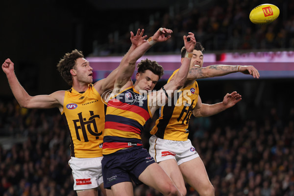 AFL 2025 Round 21 - Adelaide v Hawthorn - A-60865418