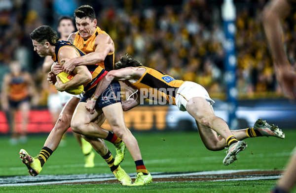 AFL 2025 Round 21 - Adelaide v Hawthorn - A-60872342