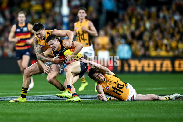 AFL 2025 Round 21 - Adelaide v Hawthorn - A-60872347