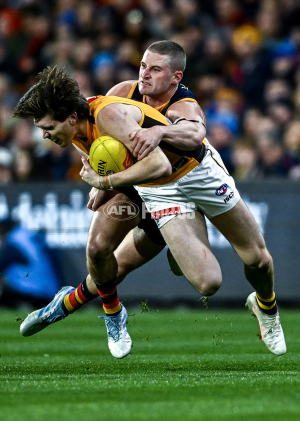 AFL 2025 Round 21 - Adelaide v Hawthorn - A-60872396