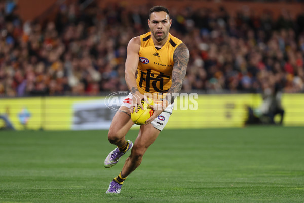 AFL 2025 Round 21 - Adelaide v Hawthorn - A-60875547