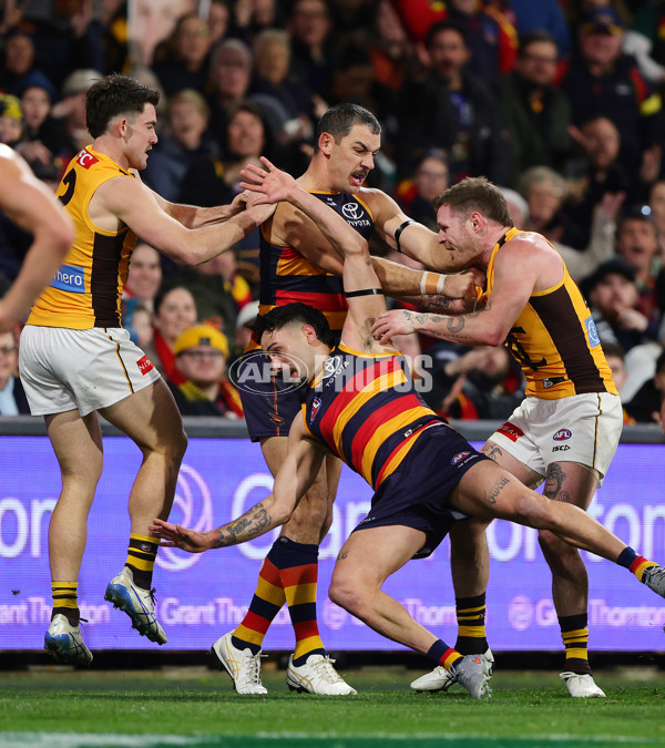 AFL 2025 Round 21 - Adelaide v Hawthorn - A-60875566