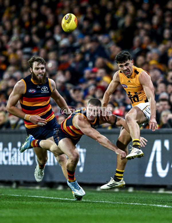 AFL 2025 Round 21 - Adelaide v Hawthorn - A-60875594
