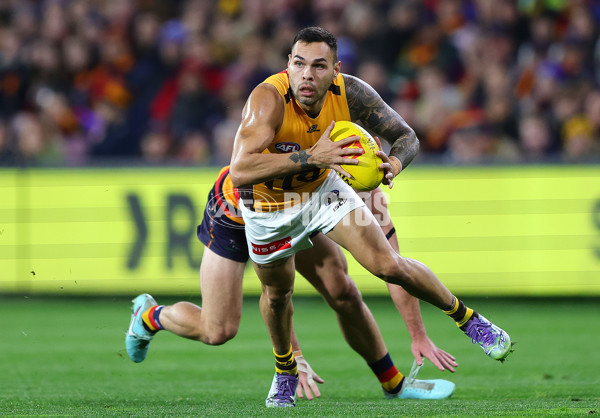 AFL 2025 Round 21 - Adelaide v Hawthorn - A-60875602