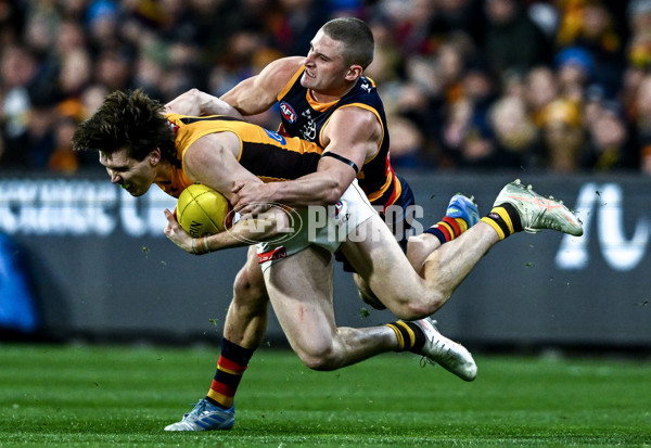 AFL 2025 Round 21 - Adelaide v Hawthorn - A-60879166