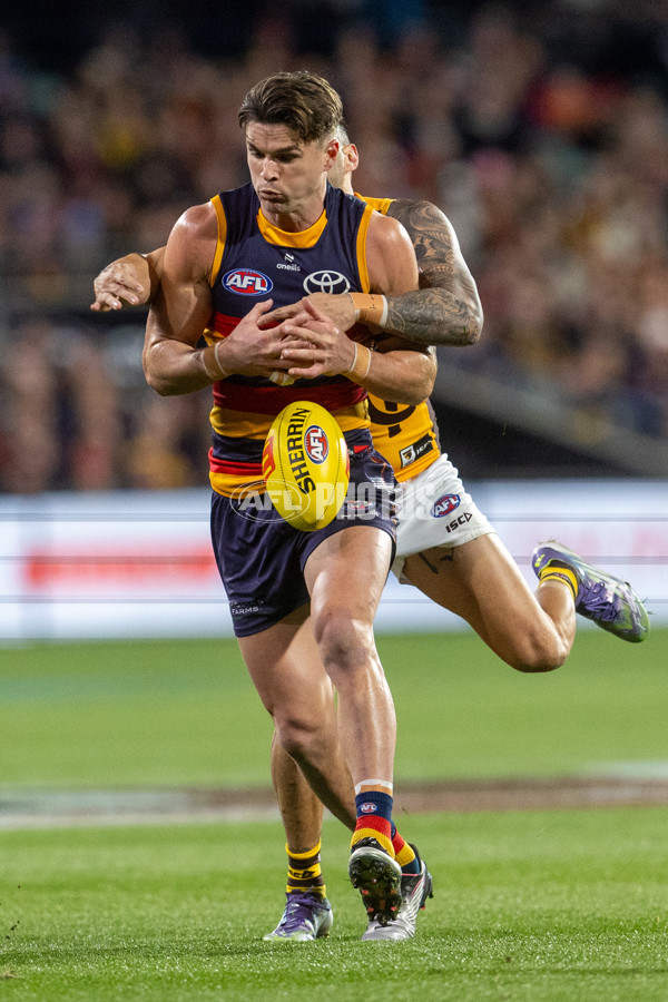 AFL 2025 Round 21 - Adelaide v Hawthorn - A-60879167