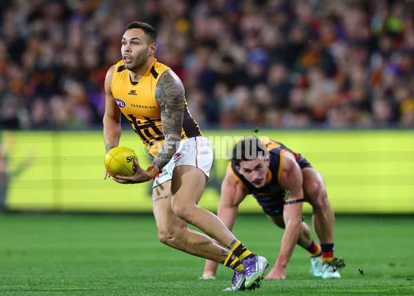 AFL 2025 Round 21 - Adelaide v Hawthorn - A-60879189