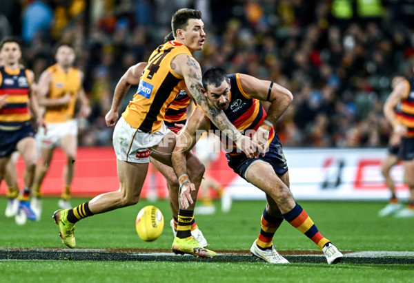 AFL 2025 Round 21 - Adelaide v Hawthorn - A-60879257
