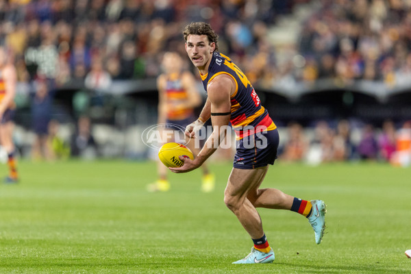 AFL 2025 Round 21 - Adelaide v Hawthorn - A-60881095