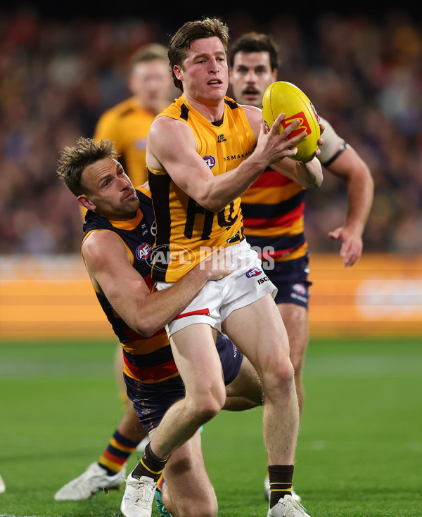AFL 2025 Round 21 - Adelaide v Hawthorn - A-60883811