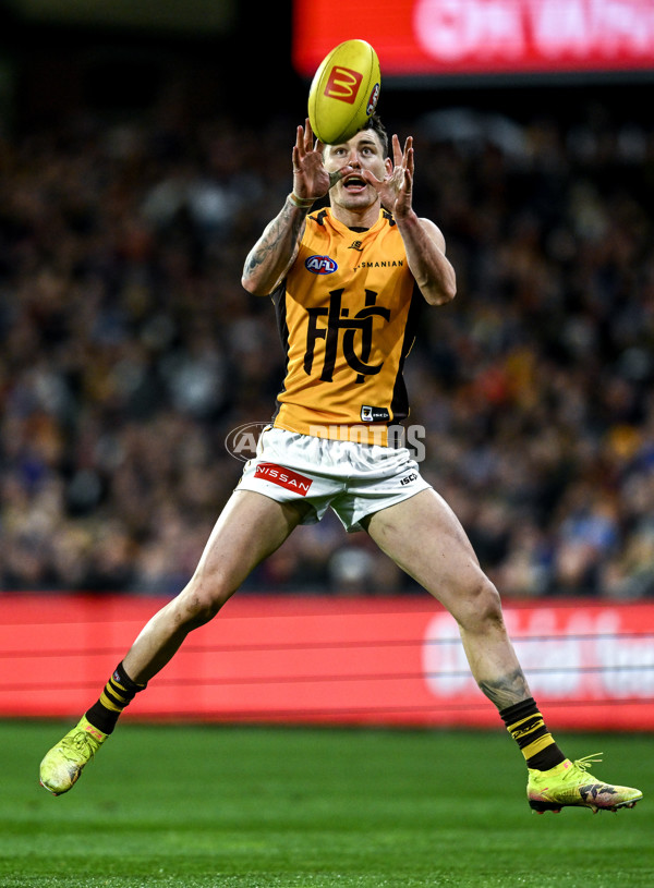 AFL 2025 Round 21 - Adelaide v Hawthorn - A-60883812