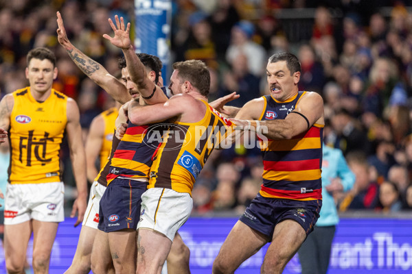 AFL 2025 Round 21 - Adelaide v Hawthorn - A-60883853