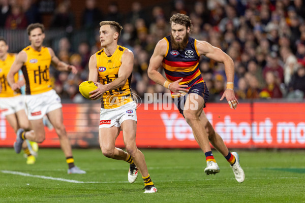 AFL 2025 Round 21 - Adelaide v Hawthorn - A-60885842