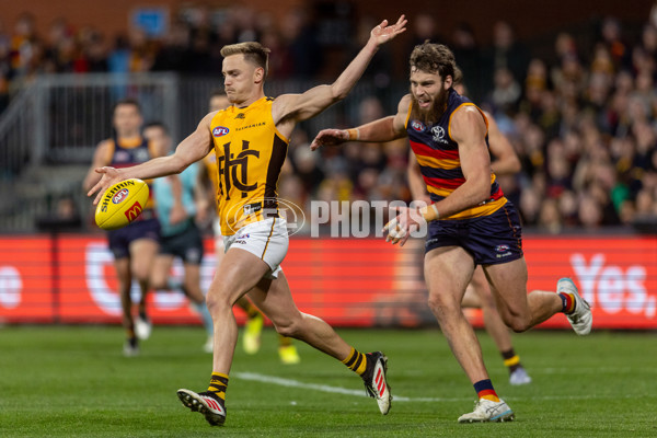 AFL 2025 Round 21 - Adelaide v Hawthorn - A-60885845
