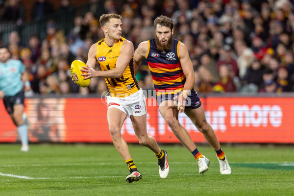 AFL 2025 Round 21 - Adelaide v Hawthorn - A-60885846