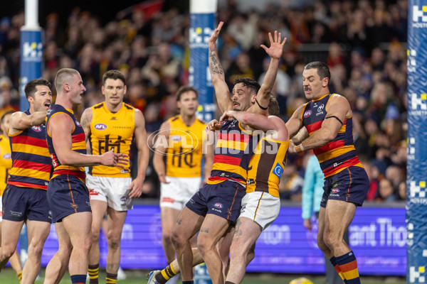 AFL 2025 Round 21 - Adelaide v Hawthorn - A-60885847