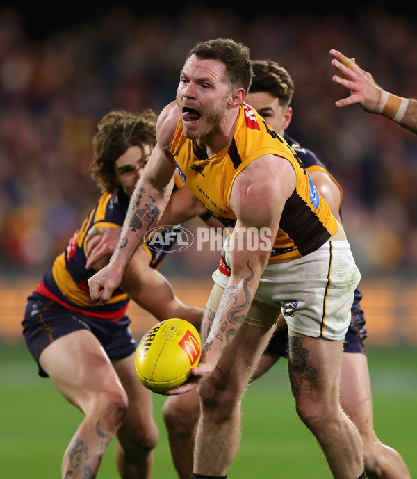 AFL 2025 Round 21 - Adelaide v Hawthorn - A-60885927