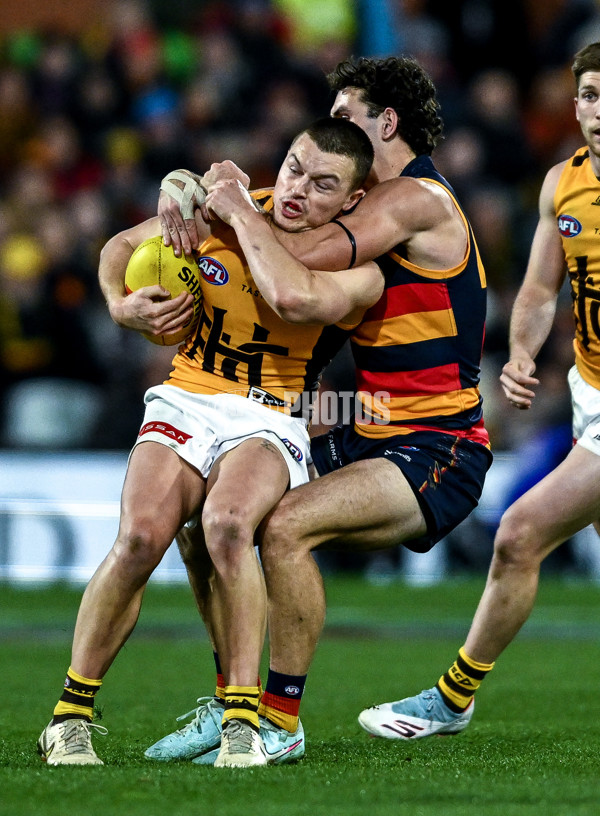 AFL 2025 Round 21 - Adelaide v Hawthorn - A-60885930