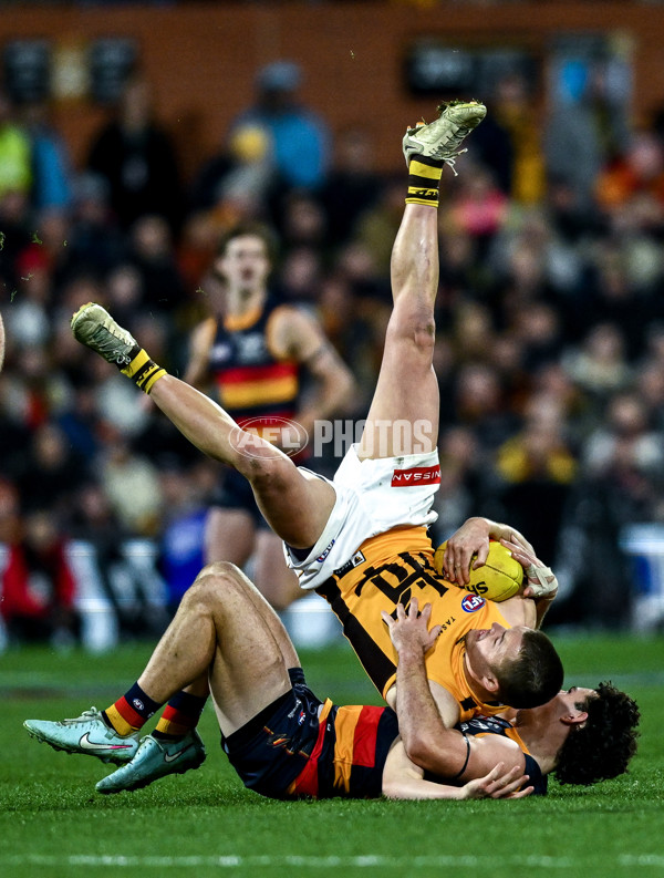 AFL 2025 Round 21 - Adelaide v Hawthorn - A-60891030