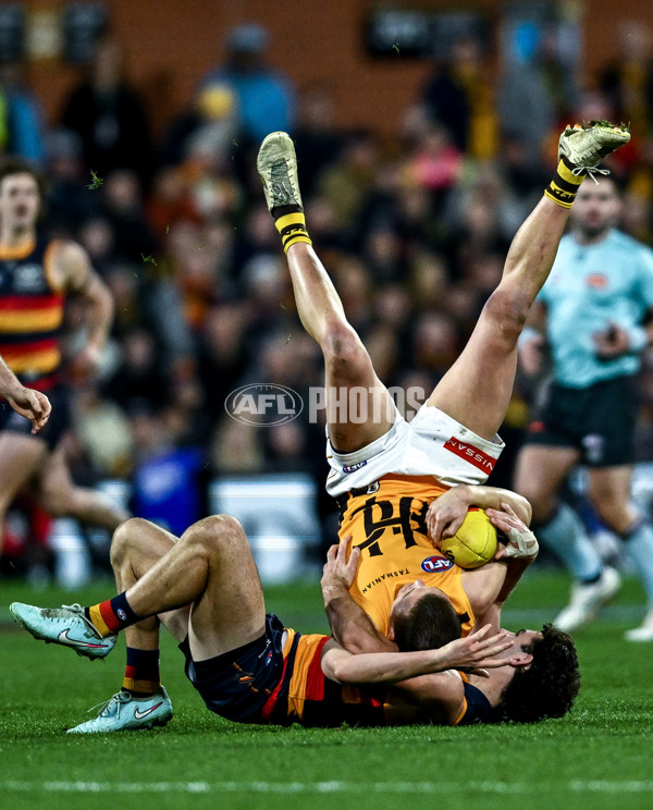 AFL 2025 Round 21 - Adelaide v Hawthorn - A-60891031