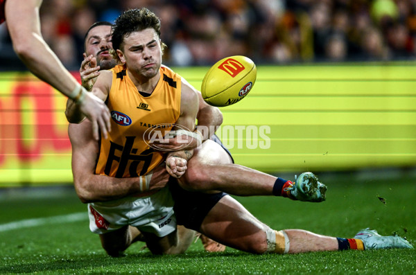 AFL 2025 Round 21 - Adelaide v Hawthorn - A-60891042