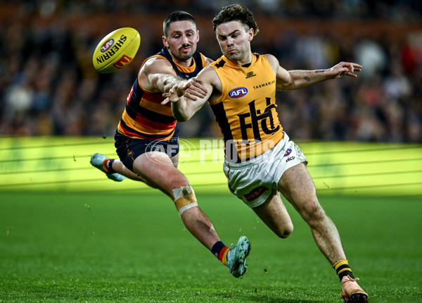 AFL 2025 Round 21 - Adelaide v Hawthorn - A-60891043