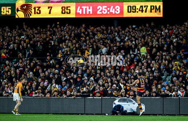 AFL 2025 Round 21 - Adelaide v Hawthorn - A-60891064