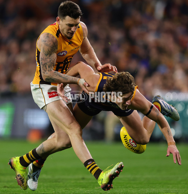 AFL 2025 Round 21 - Adelaide v Hawthorn - A-60892496