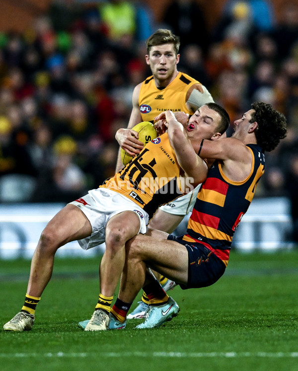 AFL 2025 Round 21 - Adelaide v Hawthorn - A-60892501