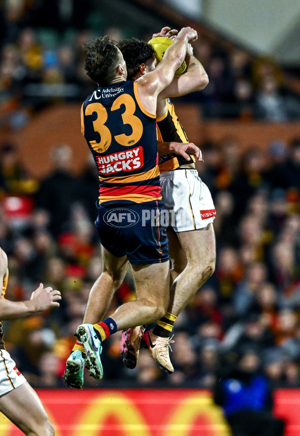 AFL 2025 Round 21 - Adelaide v Hawthorn - A-60892542
