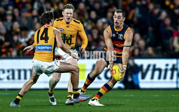 AFL 2025 Round 21 - Adelaide v Hawthorn - A-60892556