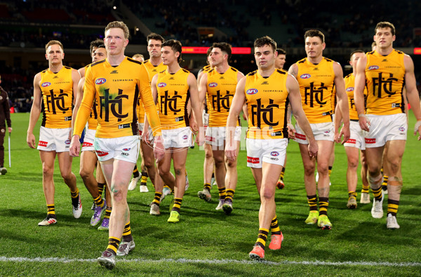 AFL 2025 Round 21 - Adelaide v Hawthorn - A-60892557