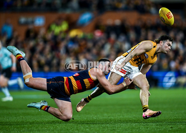AFL 2025 Round 21 - Adelaide v Hawthorn - A-60892563