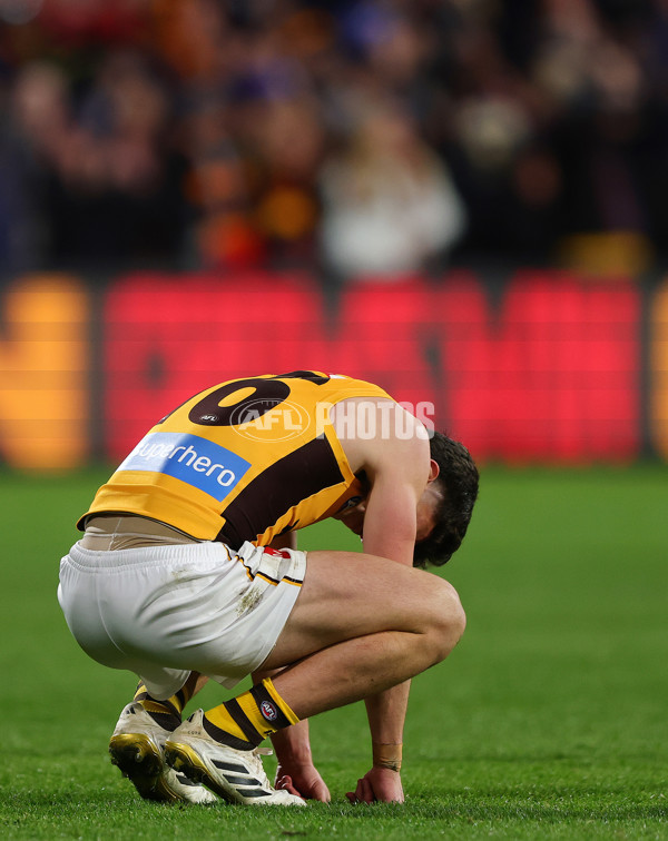AFL 2025 Round 21 - Adelaide v Hawthorn - A-60892568
