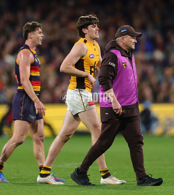 AFL 2025 Round 21 - Adelaide v Hawthorn - A-60892572