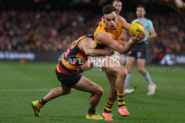 AFL 2025 Round 21 - Adelaide v Hawthorn - A-60892592