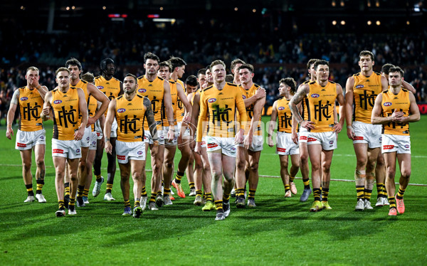 AFL 2025 Round 21 - Adelaide v Hawthorn - A-60898156