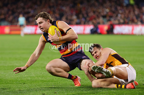 AFL 2025 Round 21 - Adelaide v Hawthorn - A-60898191