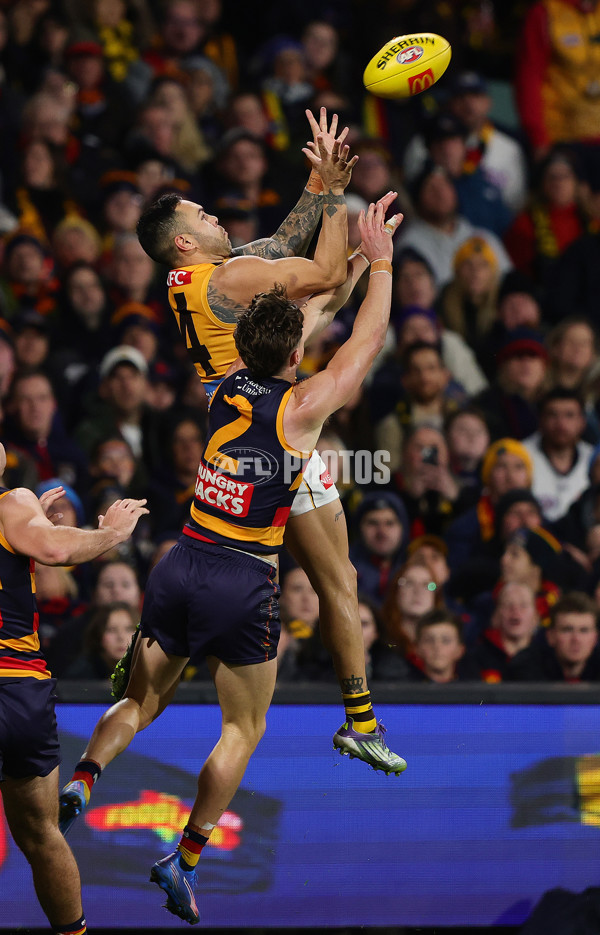 AFL 2025 Round 21 - Adelaide v Hawthorn - A-60898193