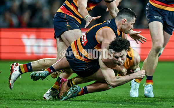 AFL 2025 Round 21 - Adelaide v Hawthorn - A-60898218