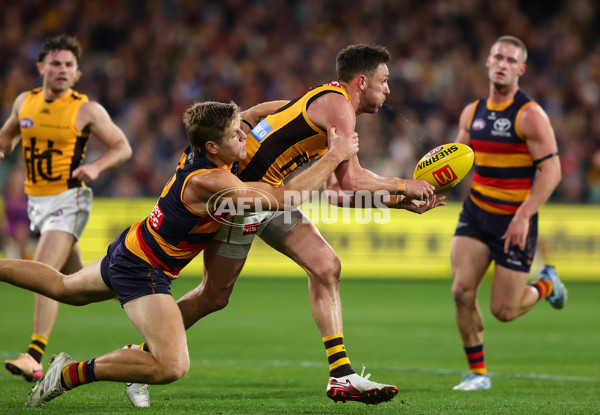 AFL 2025 Round 21 - Adelaide v Hawthorn - A-60898228
