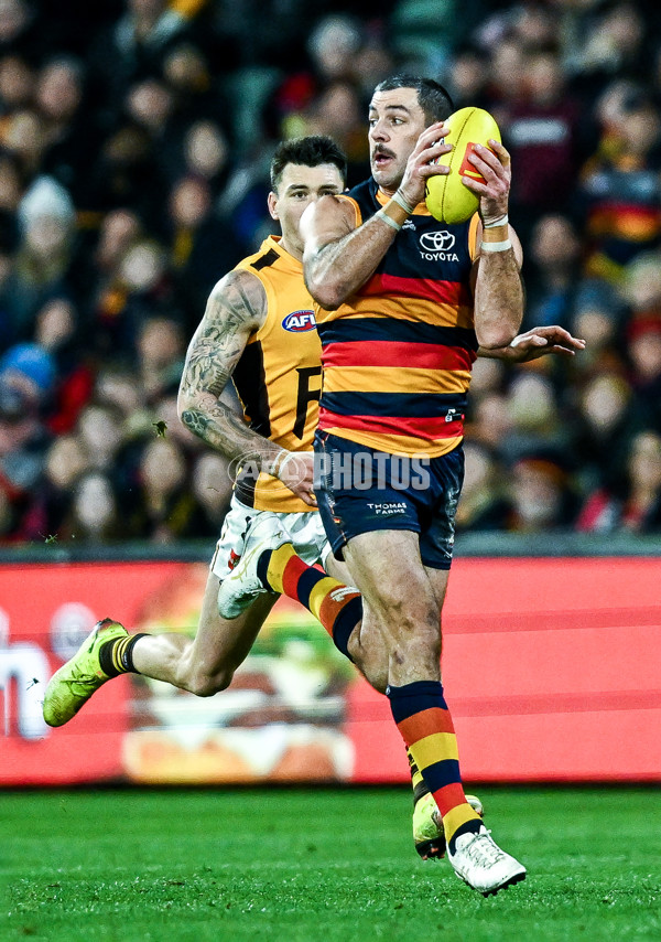 AFL 2025 Round 21 - Adelaide v Hawthorn - A-60898236