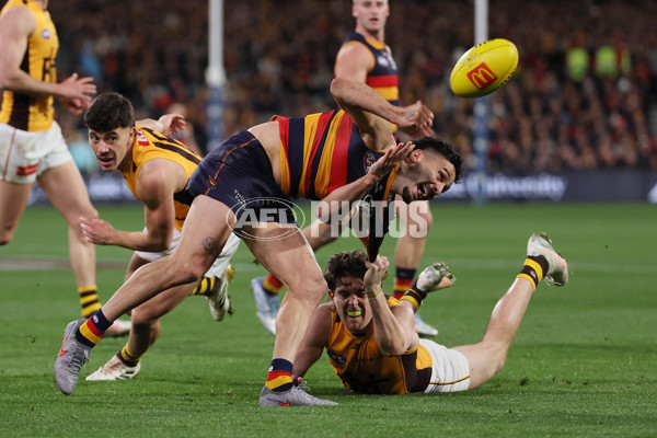 AFL 2025 Round 21 - Adelaide v Hawthorn - A-60905424