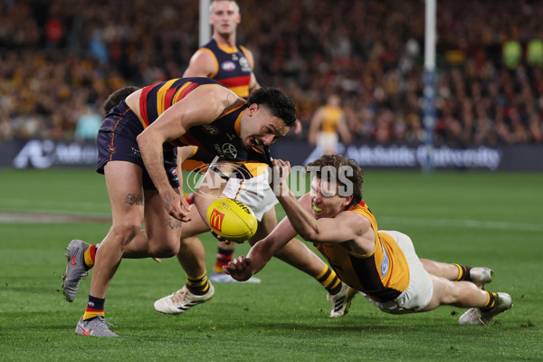 AFL 2025 Round 21 - Adelaide v Hawthorn - A-60905425