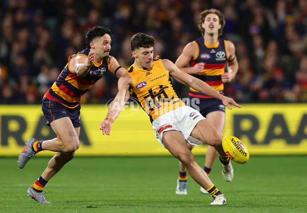 AFL 2025 Round 21 - Adelaide v Hawthorn - A-60905471