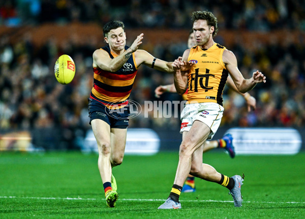 AFL 2025 Round 21 - Adelaide v Hawthorn - A-60905473