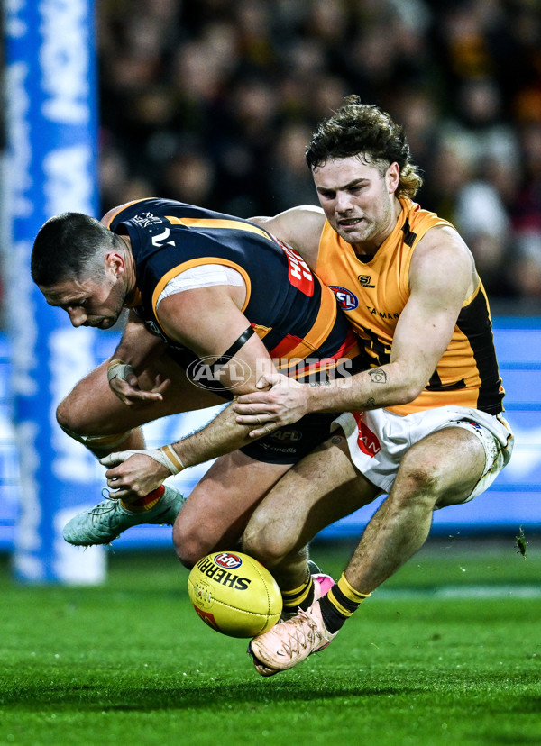 AFL 2025 Round 21 - Adelaide v Hawthorn - A-60905484