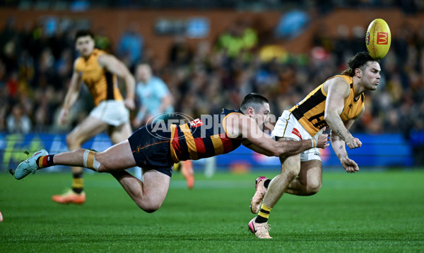 AFL 2025 Round 21 - Adelaide v Hawthorn - A-60905486