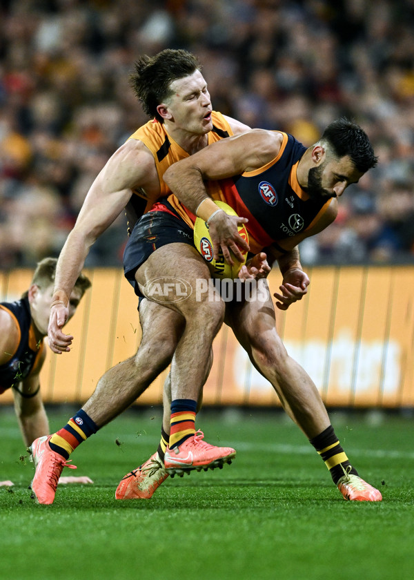 AFL 2025 Round 21 - Adelaide v Hawthorn - A-60905493